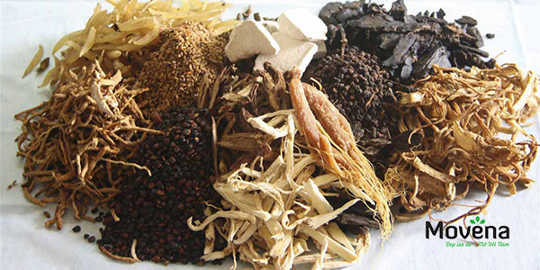 Uống thuốc nam giúp trị chân nám từ bên trong Uống thuốc nam giúp trị chân nám từ bên trong